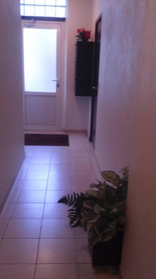 Appartement Cosy Entre Bosquet Et Beaumont Pau Buitenkant foto